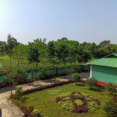 Grasshopper Jungle Queen Resort Chālsa エクステリア 写真