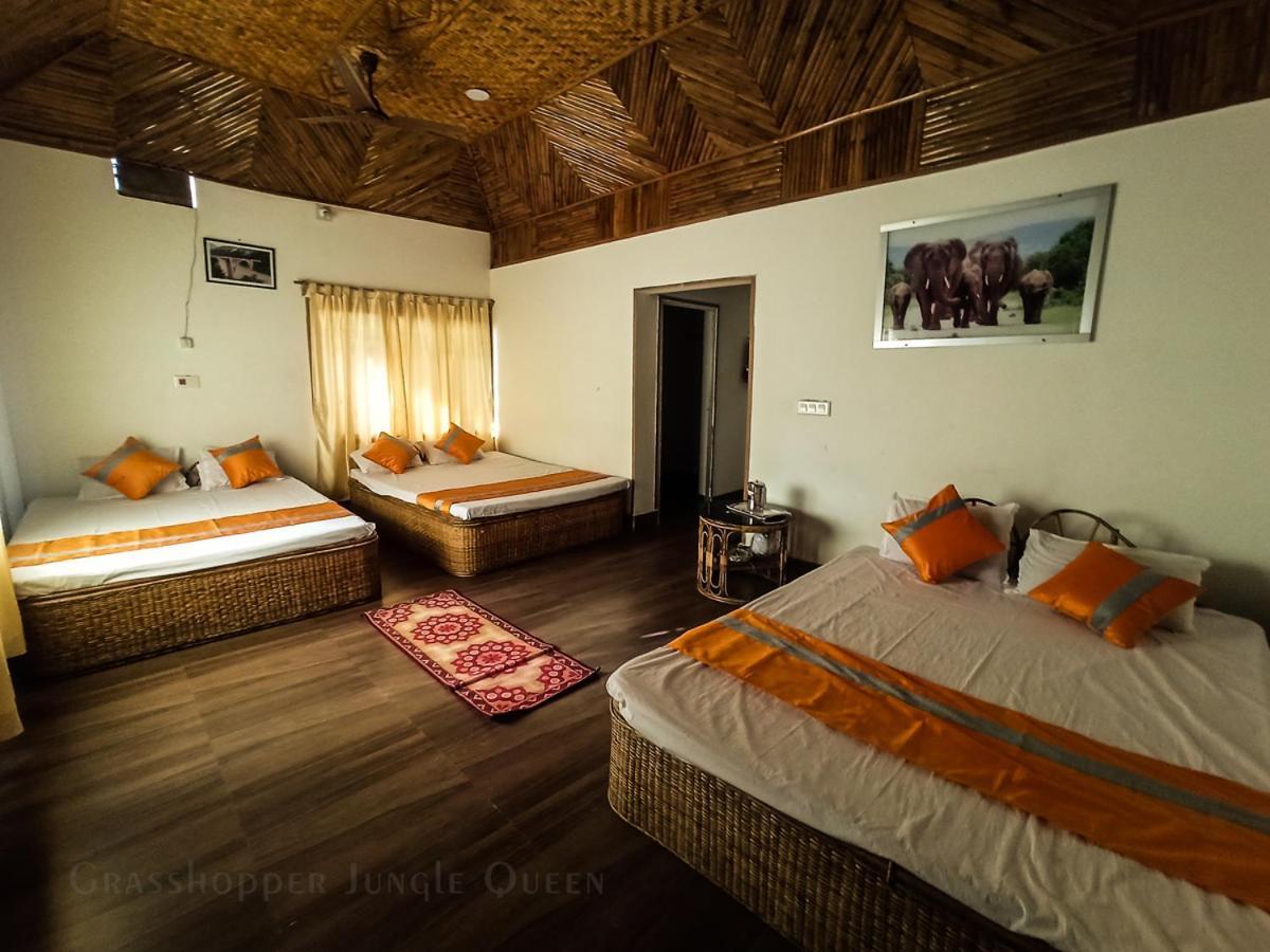 Grasshopper Jungle Queen Resort Chālsa エクステリア 写真