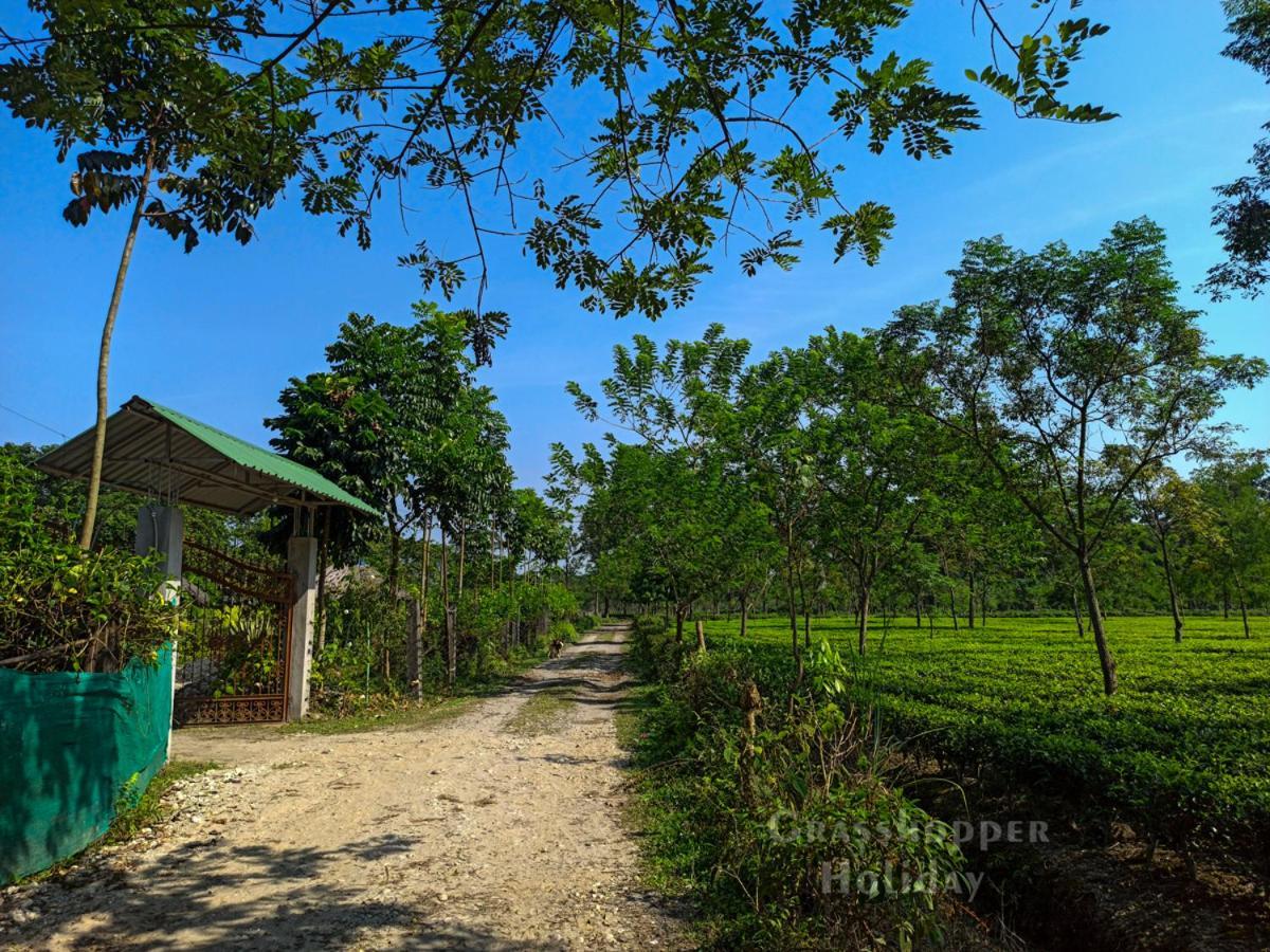 Grasshopper Jungle Queen Resort Chālsa エクステリア 写真