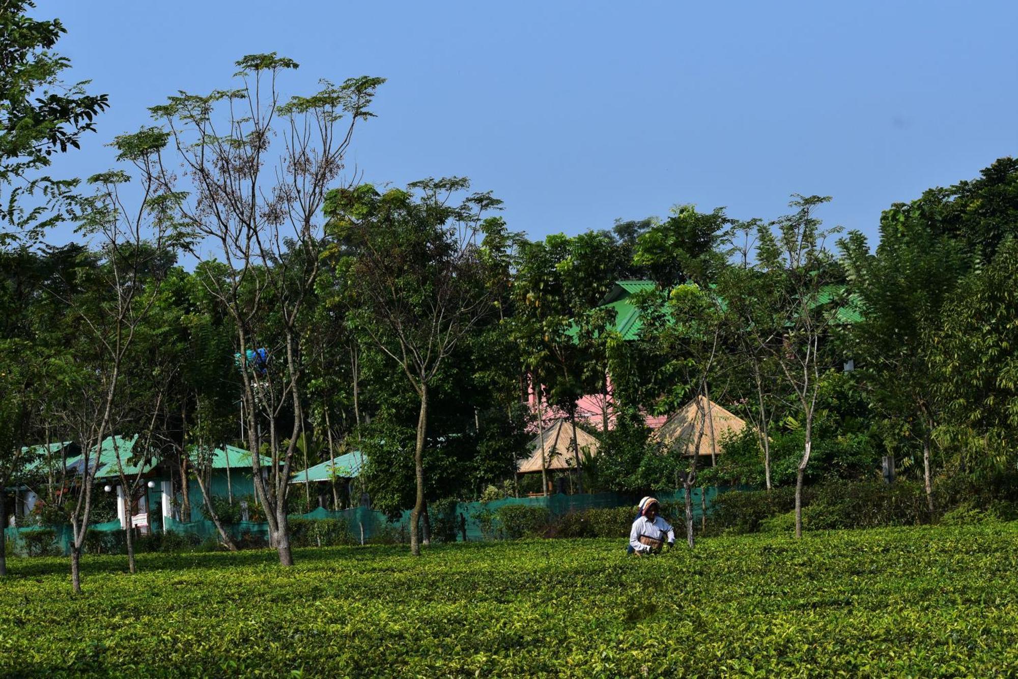 Grasshopper Jungle Queen Resort Chālsa エクステリア 写真