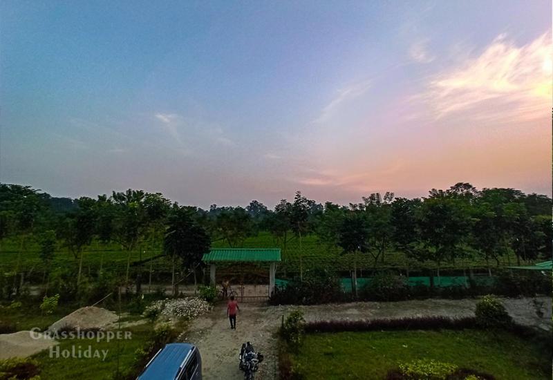 Grasshopper Jungle Queen Resort Chālsa エクステリア 写真