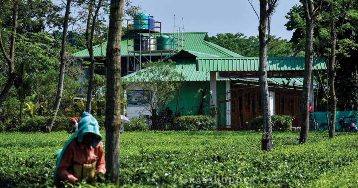 Grasshopper Jungle Queen Resort Chālsa エクステリア 写真
